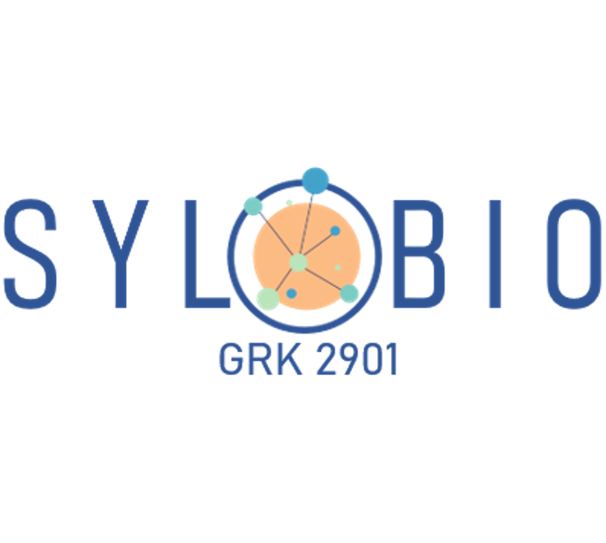 GRK 2901: Systemische und lokale Reaktionen bei Unverträglichkeit gegenüber Biomaterialien für Gelenk- und Hautläsionen