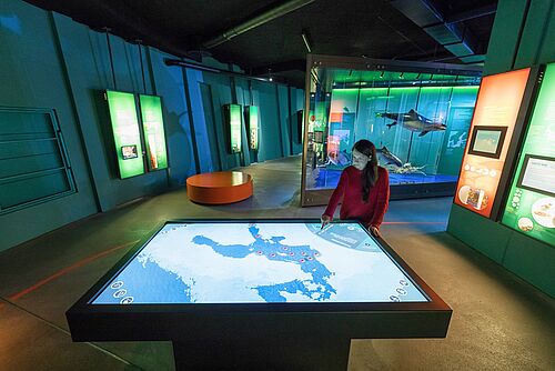 Bild 3: Ein interaktiver Lichttisch informiert in Europas größter Ostsee-Ausstellung im OZEANEUM Stralsund über die vom Menschen verursachten Auswirkungen und Veränderungen in der Ostsee (Foto: Anke Neumeister/Deutsches Meeresmuseum). 