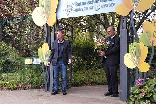 (v.l.) der Direktor des Botanischen Gartens, Professor Stefan Porembski, und der Rektor der Universität Rostock, Professor Wolfgang Schareck begrüßen erste Gäste des Botanischen Gartens.