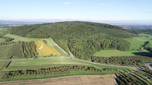 Luftbild mit Blick auf die aktuelle Ausgrabung am „Steinacker“ (Foto: RPS/LAD Marcel El-Kassem).  