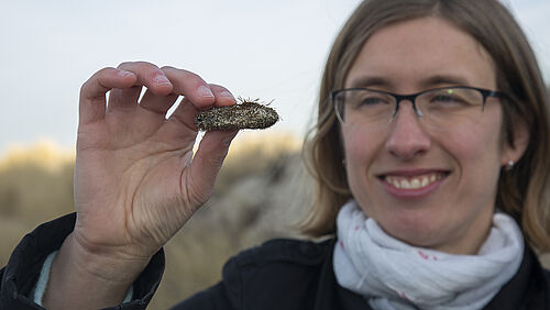 Biokrusten stabilisieren die Sandoberfläche in den Dünen, wie Dr. Karin Glaser hier eindrucksvoll zeigt.