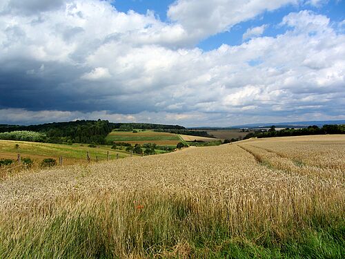 Landschaft bei Ebergötzen in der Nähe von Göttingen, Deutschland. Aufgenommen 2015. (Bild: Sebastian Lakner)