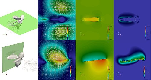 Simulierte Luftströmung und Luftdruck um die Flügel des Zwergkäfers Paratuposa placentis (Grafik:  Alexey A. Polilov, Universität Moskau).  Video 1 und 2: Zwergkäfer Paratuposa placentis in Aktion. Die Hinterflügel des Käfers bewegen sich im Sinne einer liegenden Acht. Der Flügelschlagzyklus besteht dabei aus zwei kräftigen Halbschlägen, die eine große Aufwärtskraft erzeugen, gefolgt von zwei langsamen Erholungsschlägen in Gegenrichtung (Quelle: Alexey A. Polilov, Universität Moskau). 