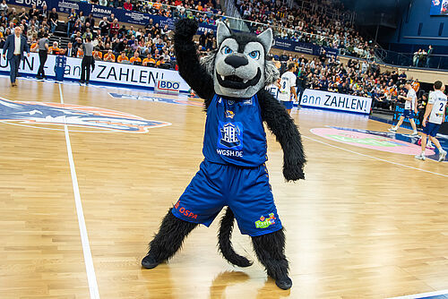 Im Mai ist Wolfi von den Rostock Seawolves in der Kinder-Uni Rostock zu Gast (Foto: Rostock Seawolves). 