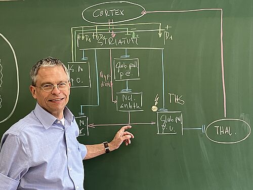 Prof. Dr. med. Rüdiger Köhling steht am 27. Juli 2023 im Physiologischen Institut der Universität Rostock vor einem Schaubild der tiefen Hirnstimulation. Der Sonderforschungsbereich 1270 ELAINE der Universität Rostock erforscht unter anderem die Therapie der Erkrankung Dystonie mit Hilfe der Tiefen Hirnstimulation. (Copyright: Universität Rostock SFB 1270 ELAINE).